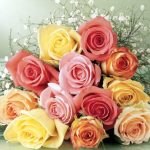 Libaas-e-zindagi ka intikhaab