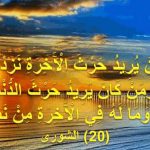 علماء علم کو دنیاطلبی کا ذریعہ نہ بنائیں