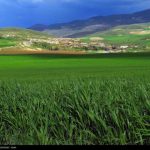 Good dealings of wife with in-law relatives