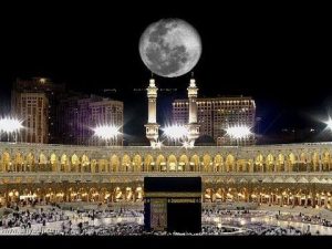 دل مشتاق کو مسرت کی نویددے نظم