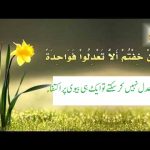 بیویوں کے درمیان عدل وانصاف