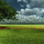 سسرالی رشتہ داروں کے ساتھ حسنِ سلوک