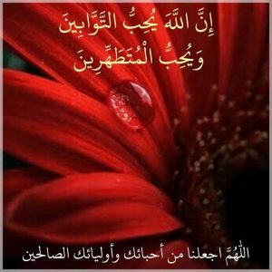 استنجےکااہتمام ڈھیلے اورپانی دونوں سے